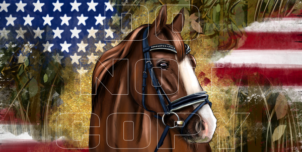 Patriotic Horse Sublimation Transfers - License Plate Sheets