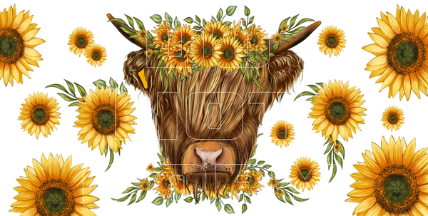 Shaggy Cow Sublimation Transfers - License Plate Sheets