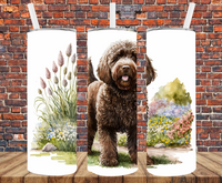 Chocolate Labradoodle - Tumbler Wrap - Sublimation Transfers