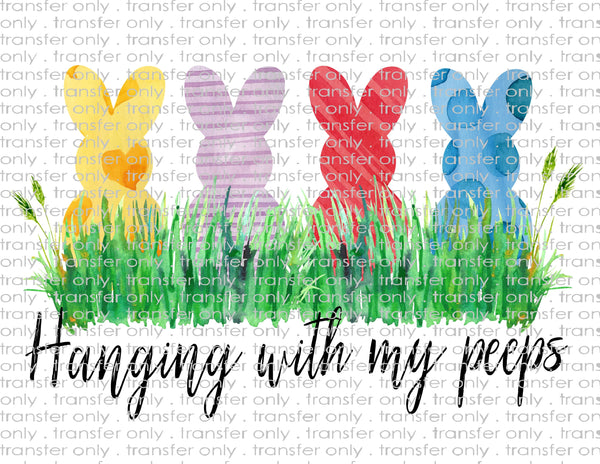 Waterslide, Sublimation Transfers - Easter