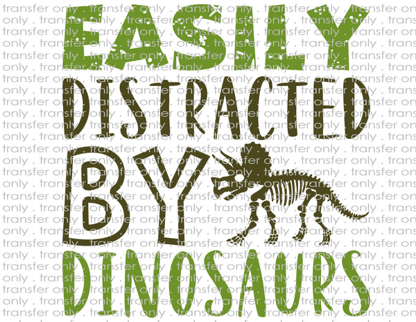 Easily Distracted by Dinosaurs - Waterslide, Sublimation Transfers