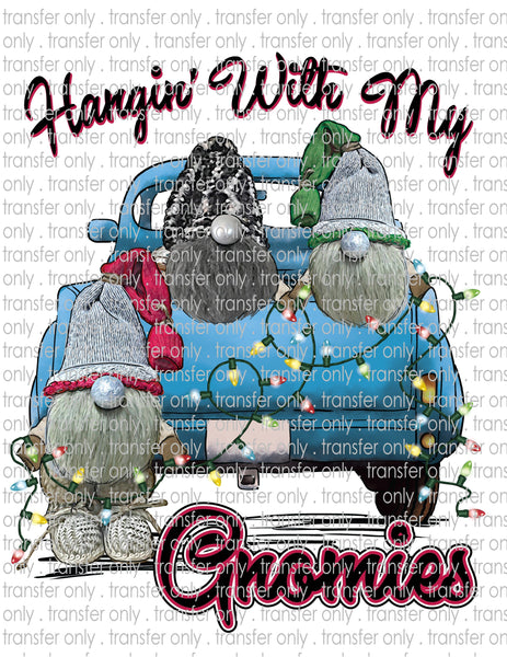 Hanging with Gnomies - Waterslide, Sublimation Transfers