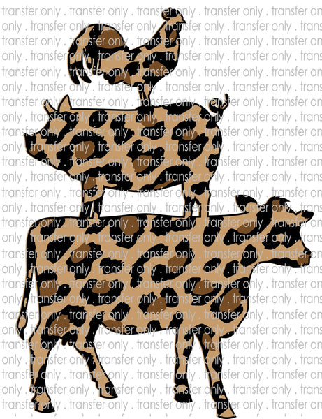 Leopard Stack Animals - Waterslide, Sublimation Transfers