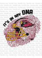 Waterslide, Sublimation Transfers - DNA Football - Cardinals