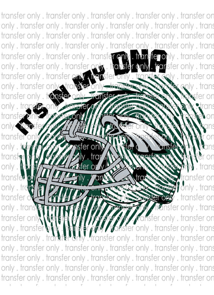 Waterslide, Sublimation Transfers - DNA Football - Eagles