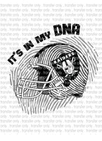 Waterslide, Sublimation Transfers - DNA Football - Raiders