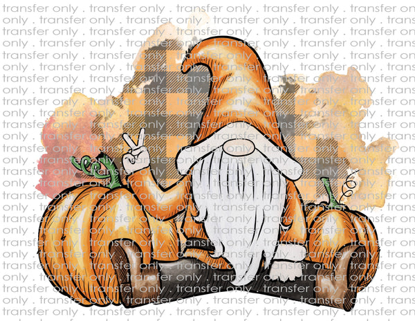 Fall Gnomes - Waterslide, Sublimation Transfers