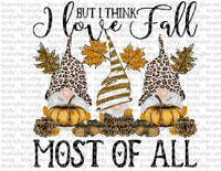 Fall Gnomes - Waterslide, Sublimation Transfers