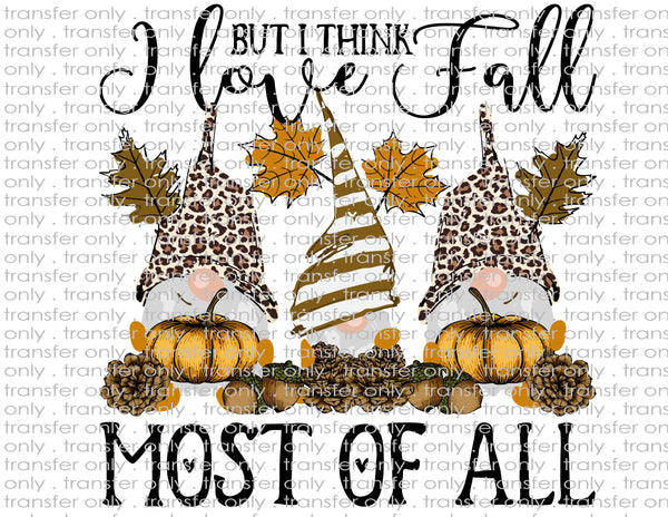 Fall Gnomes - Waterslide, Sublimation Transfers