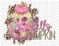 Hello Pumpkin - Waterslide, Sublimation Transfers