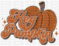 Hey Pumpkin - Waterslide, Sublimation Transfers