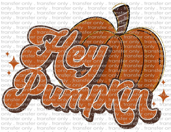 Hey Pumpkin - Waterslide, Sublimation Transfers