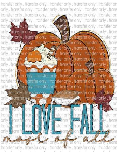 Love Fall Most of All - Waterslide, Sublimation Transfers