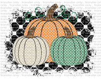 Fall Pumpkins - Waterslide, Sublimation Transfers