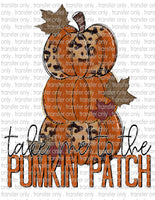 Take Me to the Pumpkin Patch - Waterslide, Sublimation Transfers