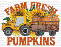 Farm Fresh Pumpkins - Waterslide, Sublimation Transfers