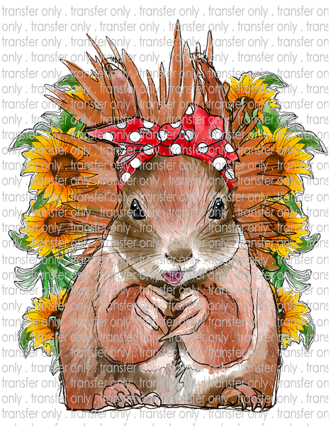 Sunflower Squirrel - Waterslide, Sublimation Transfers