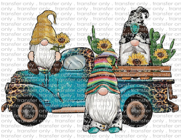 Country Western Gnomes - Waterslide, Sublimation Transfers