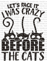 Crazy Before Cats - Waterslide, Sublimation Transfers