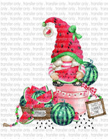 Watermelon Gnome - Waterslide, Sublimation Transfers