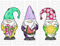 Summer Gnomes - Waterslide, Sublimation Transfers