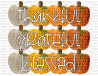 Thankful Grateful Blessed - Waterslide, Sublimation Transfers