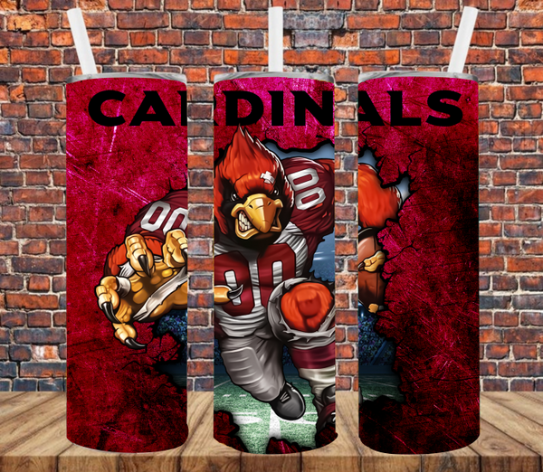 Pro Team Football - Tumbler Wrap Sublimation Transfers